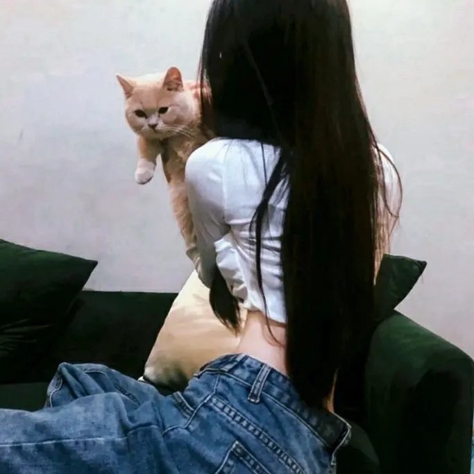 珍的不一样第二季