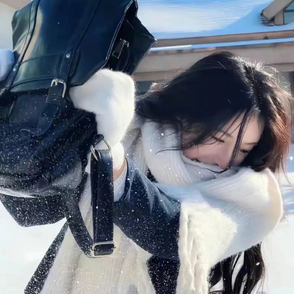 纽约二日情